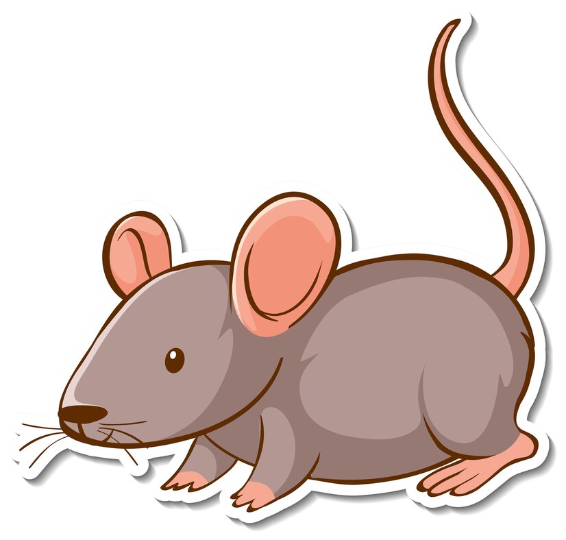 are mice nocturnal